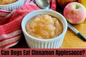 Can Dogs Eat Cinnamon Applesauce