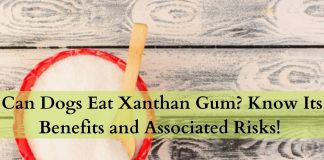 Can Dogs Eat Xanthan Gum