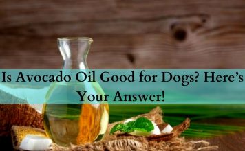 avocado oil for dogs