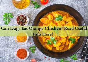 Can Dogs Eat Orange Chicken