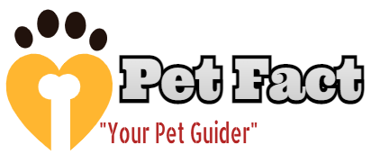 Pet Fact
