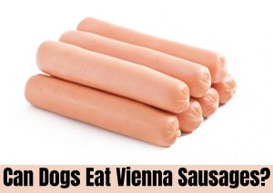 Can Dogs Eat Vienna Sausages