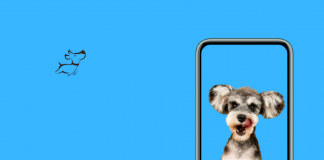 A Complete Guide To Pet Care App Development