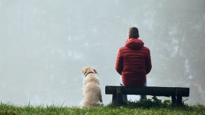 Huge Sign Of Dog Obsession