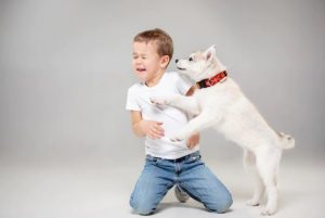 Child Conquer Their Fear of Animals