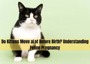do kittens move alot before birth