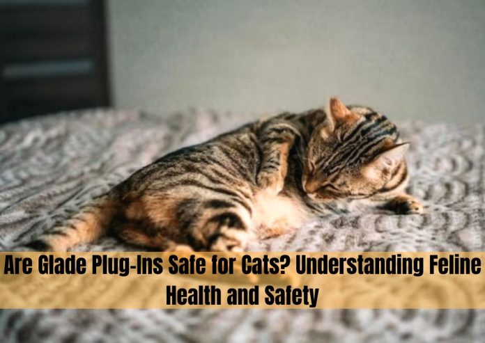 are glade plug ins safe for cats