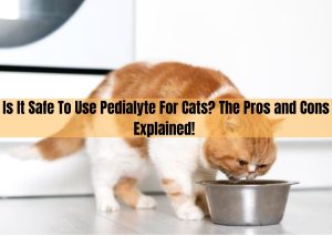 pedialyte for cats