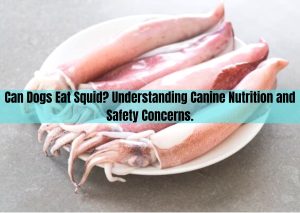 can dogs eat squid