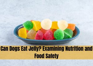 can dogs eat jelly