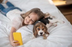 Pet Friendly Hotels