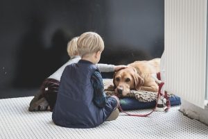 love for animals