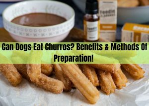 Can Dogs Eat Churros