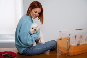 Pet Emergency Preparedness Plan