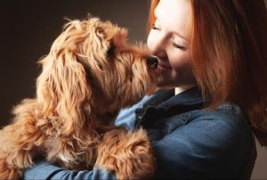 Dog&#039;s Cognitive Performance