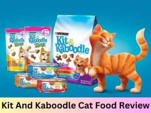 Kit and Kaboodle cat food review