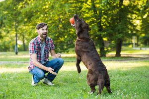 How To Make Dog-Training More Enjoyable