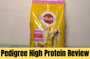 pedigree high protein review