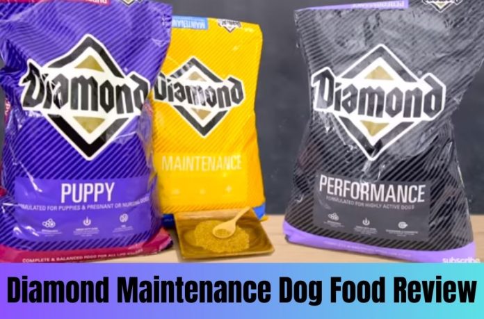 diamond maintenance dog food review
