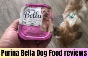 Purina Bella Dog Food reviews
