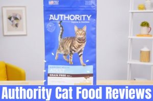 authority cat food reviews