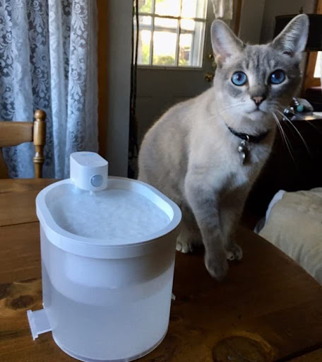 Uahpet ZERO wireless Water fountain for cats 
