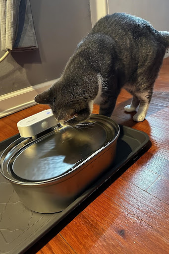Uahpet ZERO wireless Water fountain for cats 