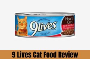 9 lives cat food review