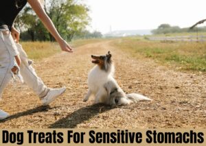 dog treats for sensitive stomachs