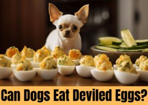 can dogs eat deviled eggs