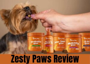 zesty paws review