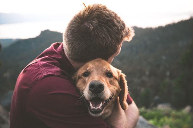 How Pet Ownership in the USA Is Changing Over Time